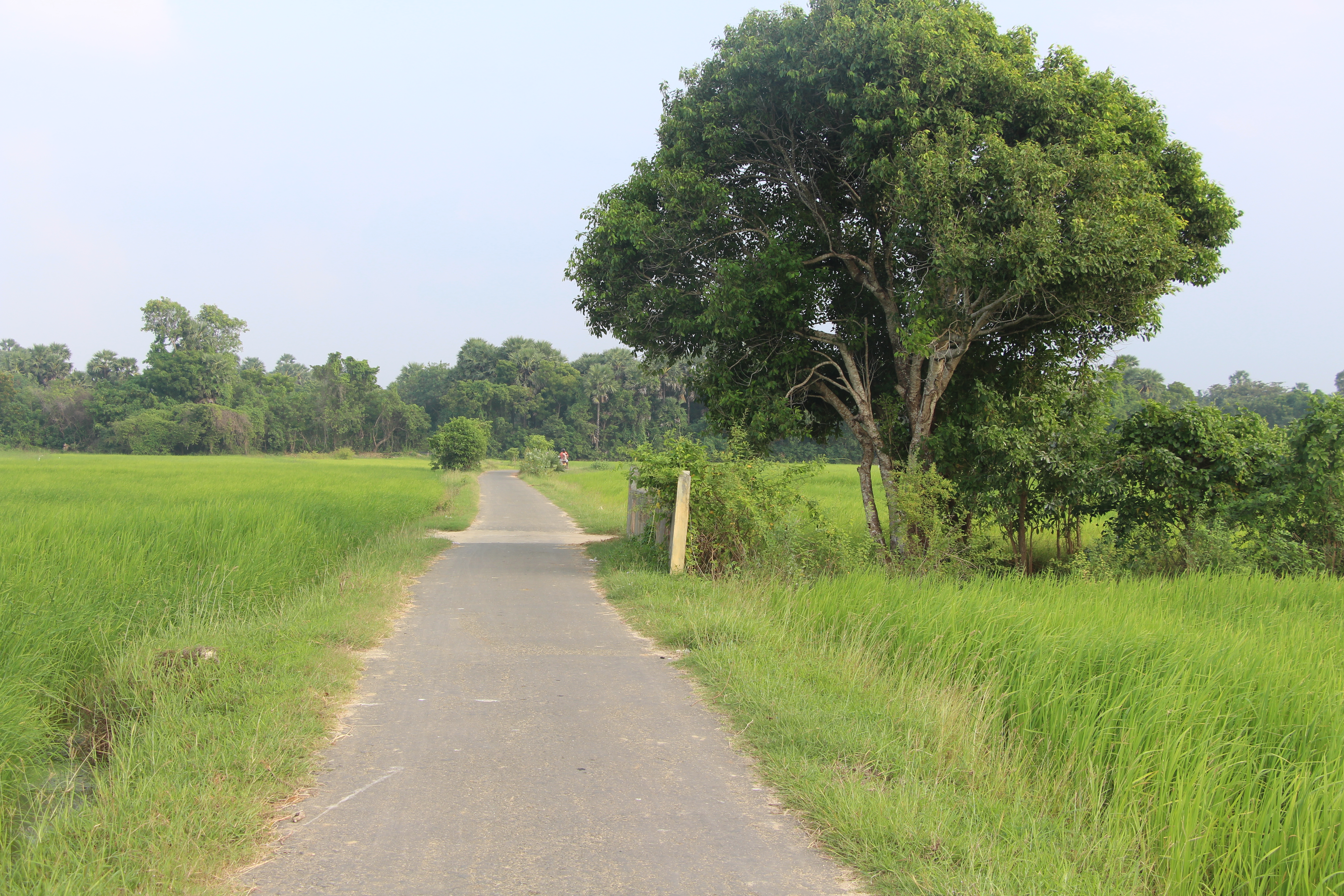 function/uploads/cultural/Paralai Murugan.JPG